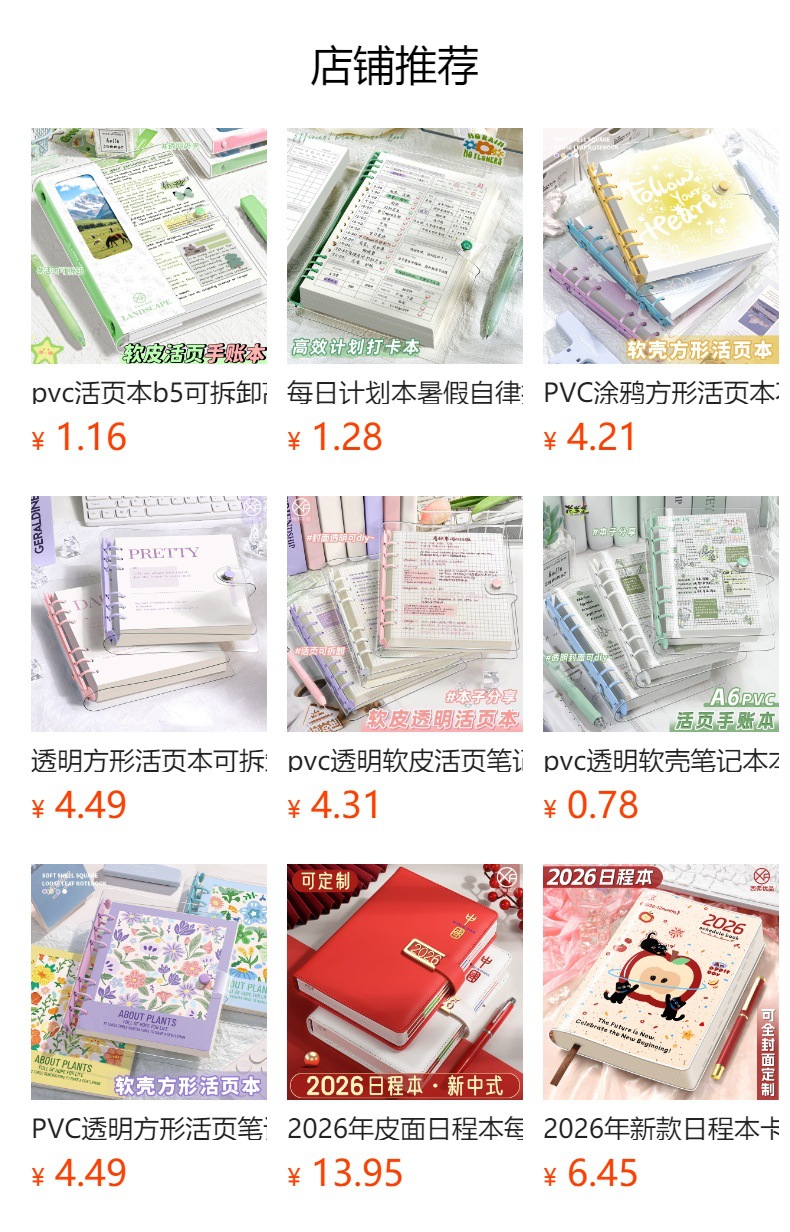 Clear Cover Loose-Leaf Notebook - product detail 1
